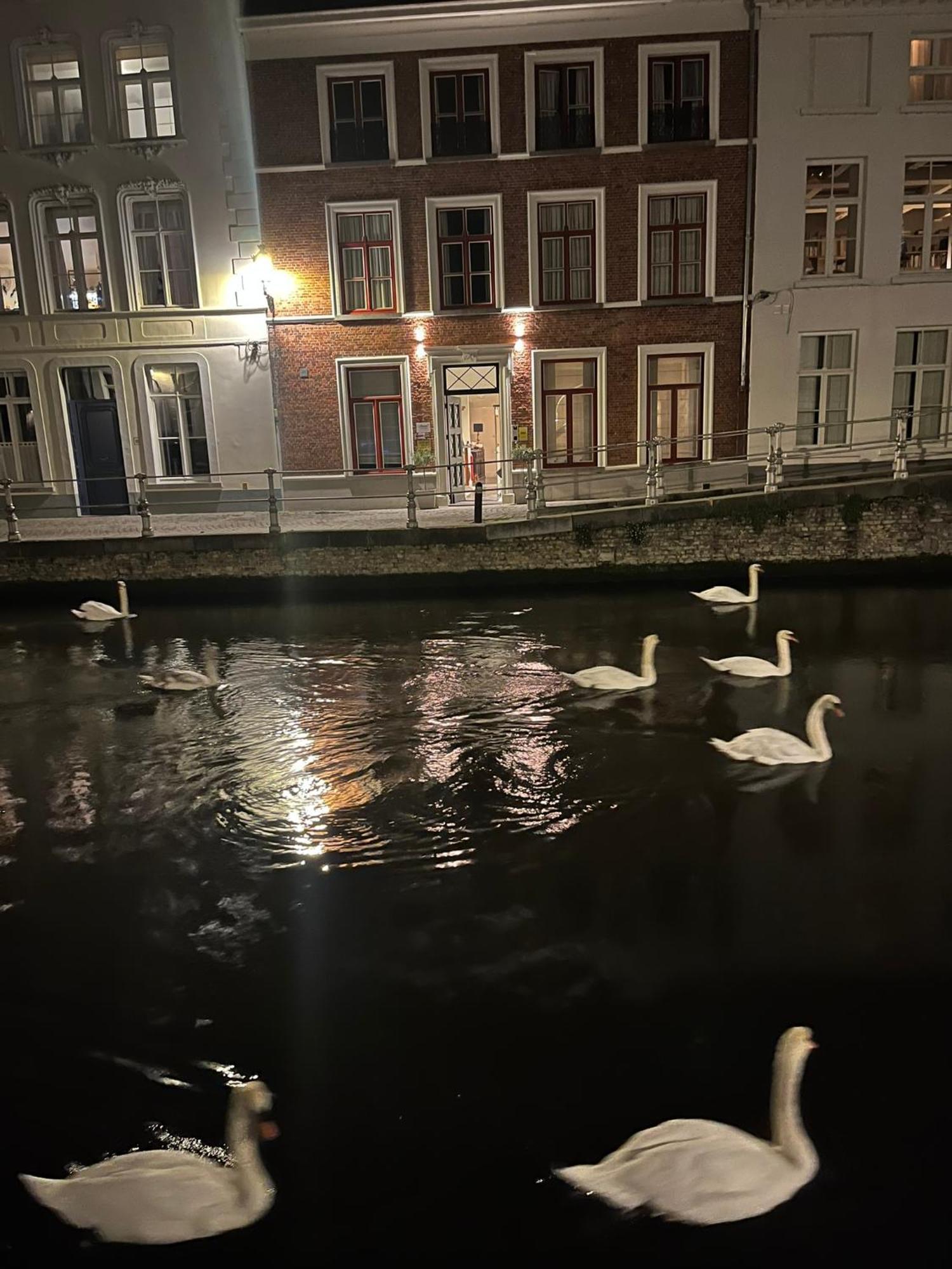 B&B Anna9 Bruges Exterior photo